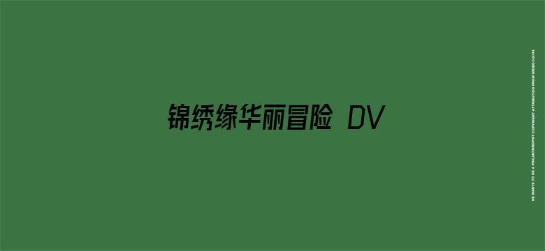 锦绣缘华丽冒险 DVD版